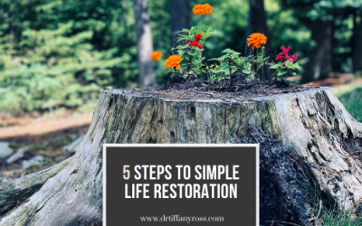 5 Steps to Simple Life Restoration